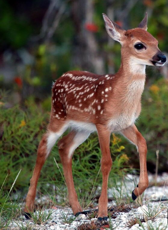 Aquel perchero en mi&nbsp;habitación