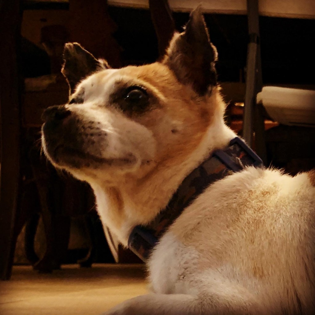 La gran aventura de&nbsp;Kn’n.