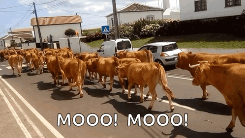 Una vez en la Agricola Oriental